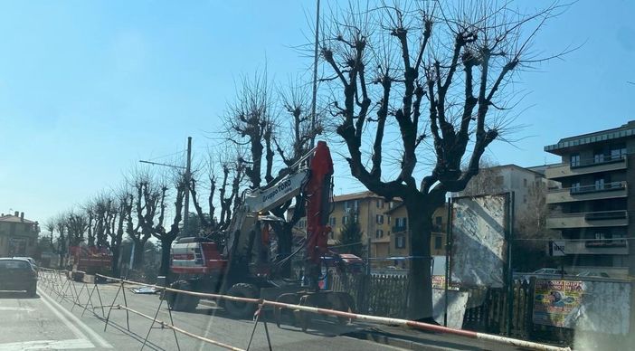 Largo Flaiano, ecco le ruspe: circolazione a una corsia in entrambe le direzioni Largo Flaiano, ecco le ruspe: circolazione a una corsia in entrambe le direzioni