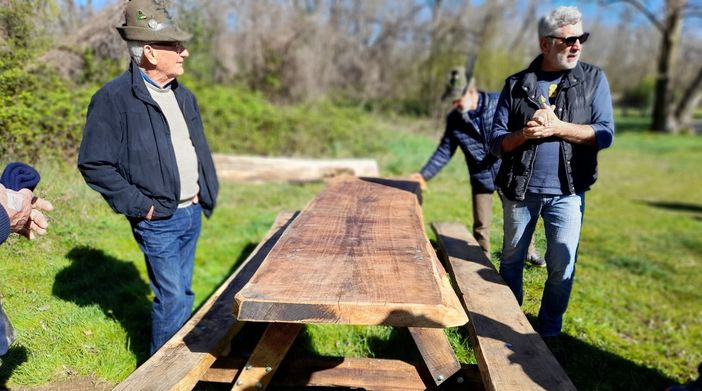 Le querce abbattute di Cassano Magnago continuano ad accogliere: oggi sono tavoli e panche Le querce abbattute di Cassano Magnago continuano ad accogliere: oggi sono tavoli e panche