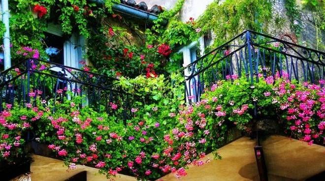 Florovivaismo, le proposte della Consulta: «Comparto deve ripartire dopo l’anno più duro»