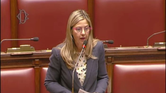 Ddl Made in Italy, Gadda: «Disorganico e fa sorridere che i sovranisti facciano come in ex Urss»