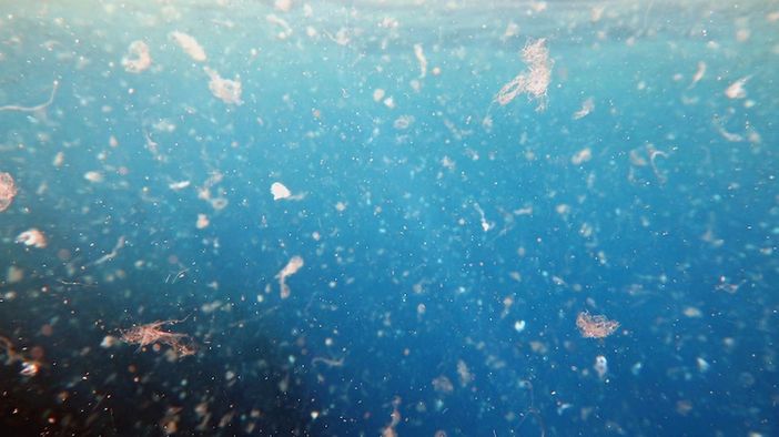 Parte dal lago Maggiore la lotta di Aime Giovani alle microplastiche