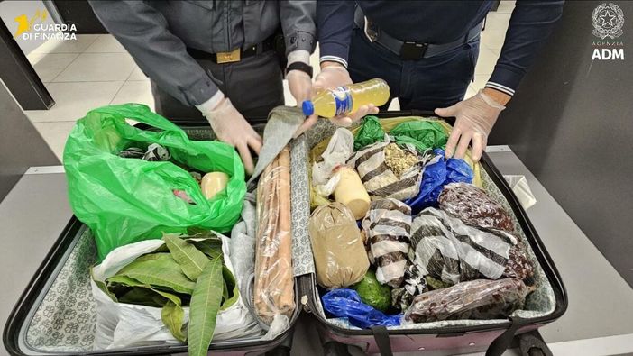 Sequestrate 6,5 tonnellate di alimenti non sicuri, tra cui carne, frutta e latticini, all'aeroporto di Linate