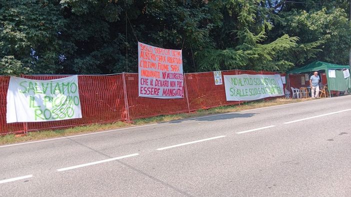 «Il bosco non si arrende. Sarà una manifestazione gioiosa e pacifica» «Il bosco non si arrende. Sarà una manifestazione gioiosa e pacifica»