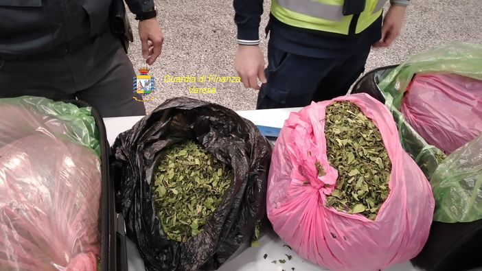 A Malpensa sequestrati 18 chili di Khat: arrestato un uomo