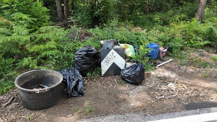 Ancora controlli al Parco Pineta: in campo anche i volontari per rimuovere bivacchi e rifiuti Ancora controlli al Parco Pineta: in campo anche i volontari per rimuovere bivacchi e rifiuti