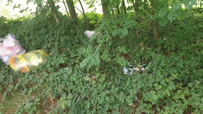 Oggi come tre anni fa: maleducazione e inciviltà nei boschi di Gorla Maggiore Oggi come tre anni fa: maleducazione e inciviltà nei boschi di Gorla Maggiore