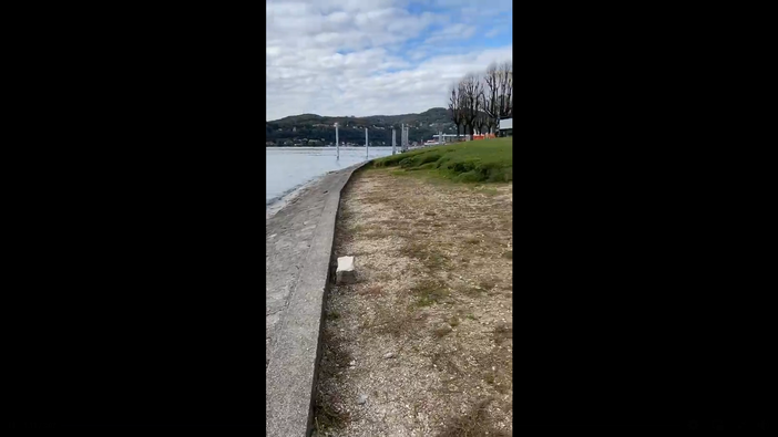 Le sponde del lungolago di Angera erose dall'acqua Le sponde del lungolago di Angera erose dall'acqua