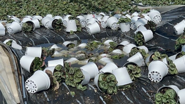 La triste "conta" del maltempo di Coldiretti: in Lombardia 27 nubifragi in un giorno