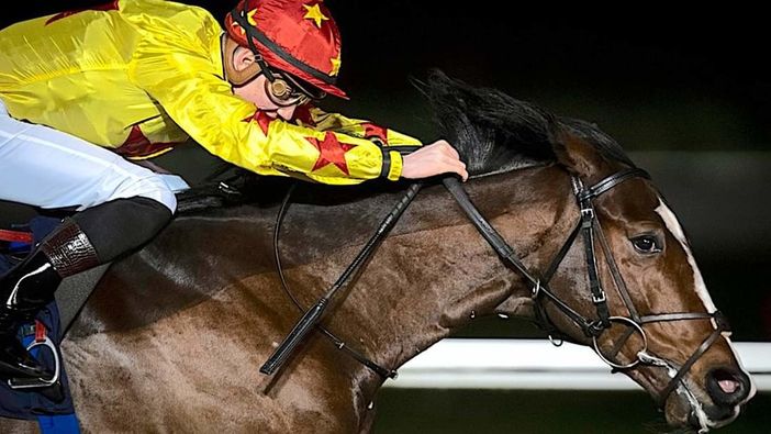 Una serata anti-caldo? Alle Bettole (ingresso gratuito) con il memorial Marcialis e molto di più Una serata anti-caldo? Alle Bettole (ingresso gratuito) con il memorial Marcialis e molto di più