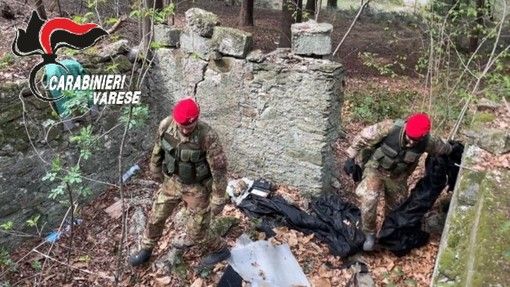 Non si ferma la lotta contro lo spaccio nei boschi: blitz dei carabinieri Cacciatori al Parco Pineta e al Parco Lura Non si ferma la lotta contro lo spaccio nei boschi: blitz dei carabinieri Cacciatori al Parco Pineta e al Parco Lura