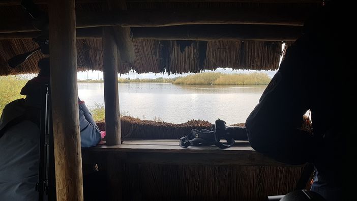 Birdwatching in Villa Cagnola