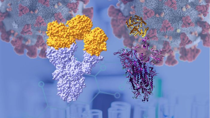 Nella Fabbrica delle proteine dell’Università dell’Insubria  si produce la Spike che ricopre il Coronavirus