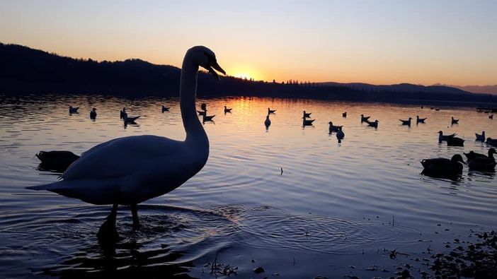 FOTOGALLERY. L'intimità e la bellezza assolute di un tramonto alla Schiranna