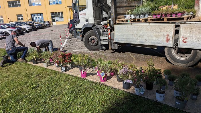 L'azienda Zeiss sposa la biodiversità: piantumati fiori e cespugli nel giardino dello stabilimento di Castiglione Olona