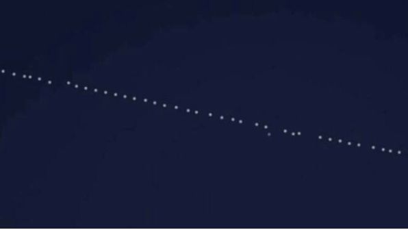 (foto da ilSaronno.it) (foto da ilSaronno.it)