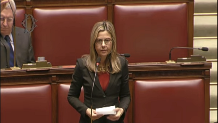 Minneapolis: Gadda, da Lega-Fdi bagarre per difendere l'indifendibile