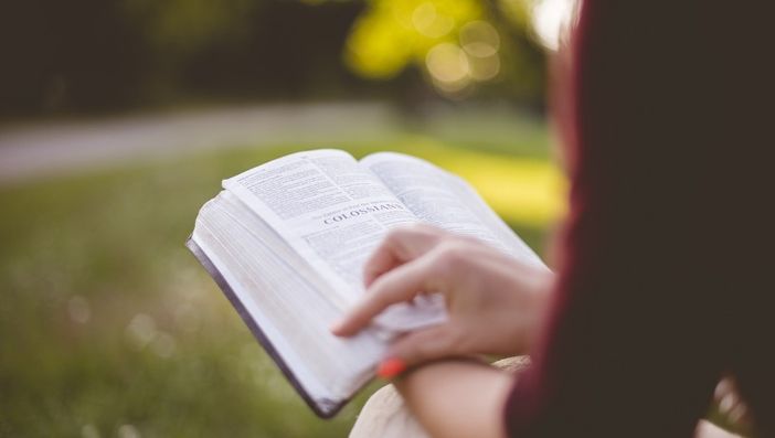 Forest bathing e passeggiata letteraria: doppio appuntamento tra i boschi di Cuasso al Monte Forest bathing e passeggiata letteraria: doppio appuntamento tra i boschi di Cuasso al Monte