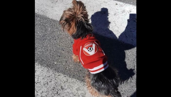 Ciao Bubu, mascotte biancorossa Ciao Bubu, mascotte biancorossa