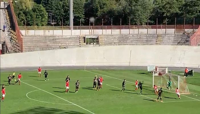 Andrea D’Orazio, gigante del centrocampo Andrea D’Orazio, gigante del centrocampo