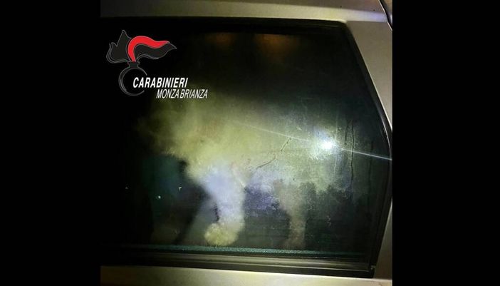 Il barboncino abbandonato al freddo in auto e salvato dai carabinieri