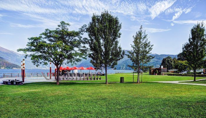 Topicida al parco delle Fontanelle di Germignaga: «Con ogni probabilità è stato un atto volontario» Topicida al parco delle Fontanelle di Germignaga: «Con ogni probabilità è stato un atto volontario»