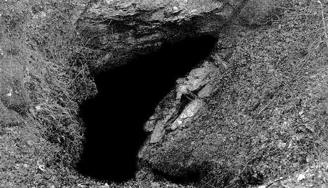 Fagnano Olona, un “Ricordo” social: «Vergognoso»