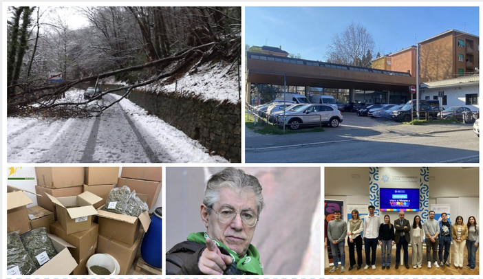 La bufera di neve, i negozi e la cronaca: ecco gli articoli più letti della settimana La bufera di neve, i negozi e la cronaca: ecco gli articoli più letti della settimana