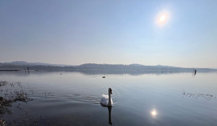 A SPASSO NEL WEEKEND. Dal mercatino francese in piazza Monte Grappa al Carnevale di Besozzo: gli eventi del fine settimana