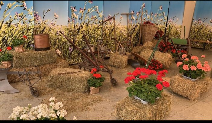 Con la Pro Loco di Arcisate "Dalle stelle alle stalle", tra buon cibo, musica e un giro tra le fattorie del paese