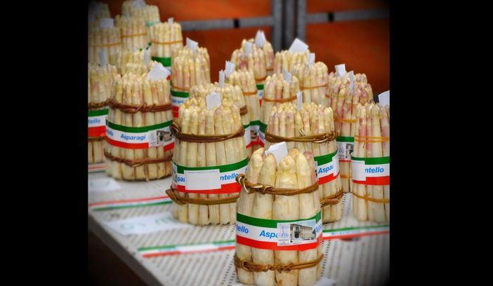 Il consiglio direttivo della Pro Loco di Cantello