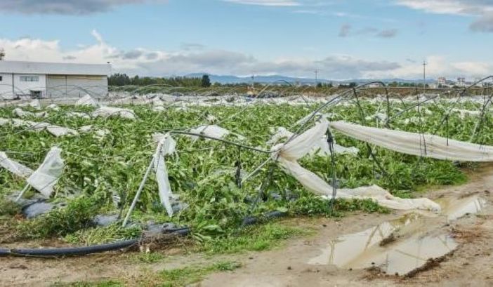 Maltempo, Coldiretti Lombardia: campagne senza tregua