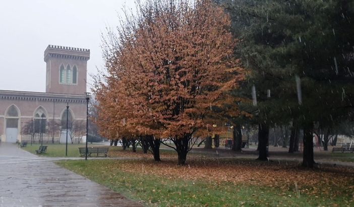 VIDEO. Nevischio a Busto. Nel sud della provincia i primi timidi fiocchi VIDEO. Nevischio a Busto. Nel sud della provincia i primi timidi fiocchi