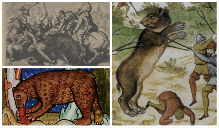 LA VARESE NASCOSTA. Da Brinzio a Bisuschio passando per Dumenza: gli ultimi orsi nel Varesotto LA VARESE NASCOSTA. Da Brinzio a Bisuschio passando per Dumenza: gli ultimi orsi nel Varesotto