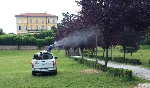 Un bruco minaccia i parchi di Tradate: interviene il Comune Un bruco minaccia i parchi di Tradate: interviene il Comune