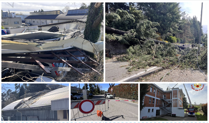 In alto da sinistra: lamiere sulle auto in via Astico. L'albero crollato in via Caracciolo. In basso da sinistra: capannone scoperchiato in via Astico. La polizia locale in via Astico e i vigili del fuoco al lavoro. In alto da sinistra: lamiere sulle auto in via Astico. L'albero crollato in via Caracciolo. In basso da sinistra: capannone scoperchiato in via Astico. La polizia locale in via Astico e i vigili del fuoco al lavoro.