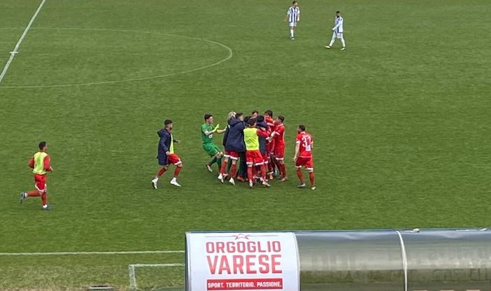 Dalla terza categoria alla lotta salvezza in serie D in pochi mesi: cosa volete di più dal Varese?