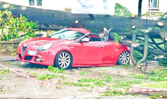 L'auto distrutta dal crollo di un albero davanti all'Esselunga di viale Borri a Varese. Sotto nella prima foto della gallery: a sinistra le lamiere cadute sulla ferrovia in via Bainsizza (foto Michael Balzano da NaturalMeteo), a destra alberi caduti in strada in Valganna (foto di Valeria Brugnoni da Facebook). Sempre in gallery i danni del maltempo in diverse zone di Varese e della provincia