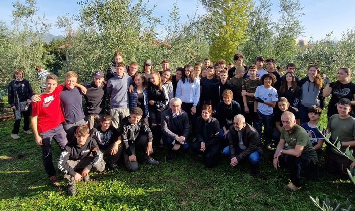 Partita a Bosto la raccolta delle olive di Sant’Imerio. Anche il sindaco in campo insieme ai volontari