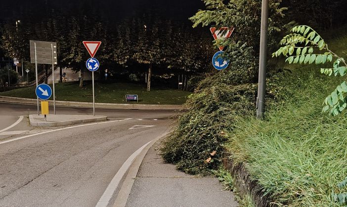 LA SEGNALAZIONE. Marciapiede come una "giungla": «Tratto impraticabile, perché si dimenticano di sfalciarlo?»