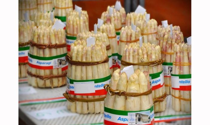 Scatta stasera la Fiera dell’Asparago di Cantello: il programma completo dell’ottantaduesima edizione