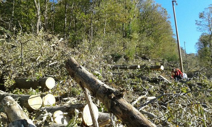 Foto dalla pagina Facebook di Legambiente Laveno Luino