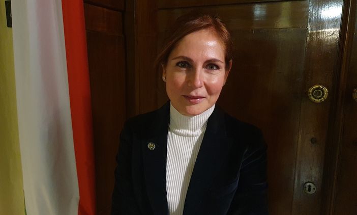 Revisione del piano territoriale di coordinamento provinciale