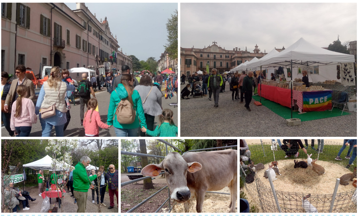 Torna "Agrivarese in città": domenica 7 aprile l'agricoltura in mostra ai Giardini Estensi Torna "Agrivarese in città": domenica 7 aprile l'agricoltura in mostra ai Giardini Estensi
