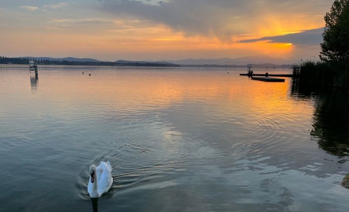 Varese tappa del progetto regionale Cuori Olimpici in vista di Milano-Cortina 2026 Varese tappa del progetto regionale Cuori Olimpici in vista di Milano-Cortina 2026