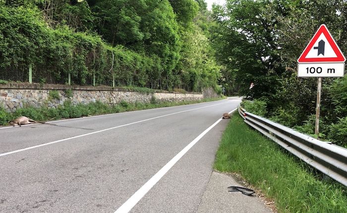 (foto LuinoNotizie.it) (foto LuinoNotizie.it)