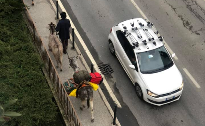 (foto da LuinoNotizie)