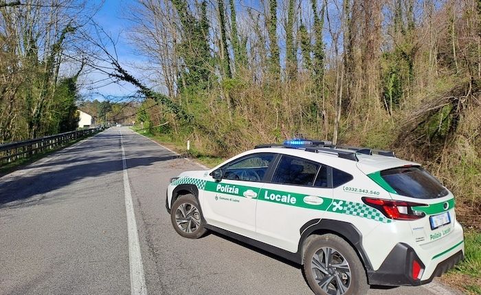 (foto tratta da Luinonotizie.it) (foto tratta da Luinonotizie.it)