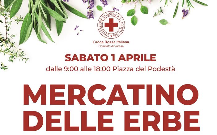 Cri Varese, una giornata in compagnia con il mercatino delle erbe