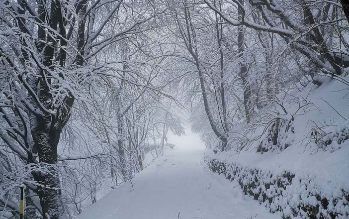Le immagini pubblicate dalla Società Astronomica Schiaparelli