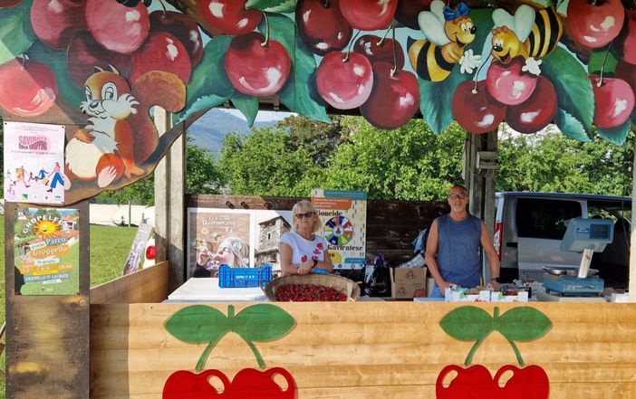 Non è primavera a Gavirate senza la Festa delle Ciliegie e l'immancabile gara della "Spudagianda" Non è primavera a Gavirate senza la Festa delle Ciliegie e l'immancabile gara della "Spudagianda"